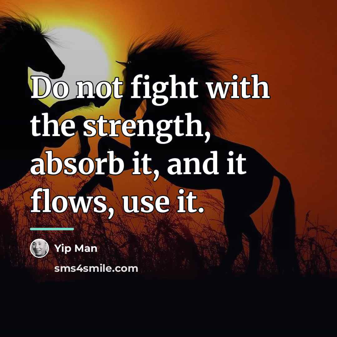 “Do not fight with the strength, absorb it, and it…” quote by Yip Man