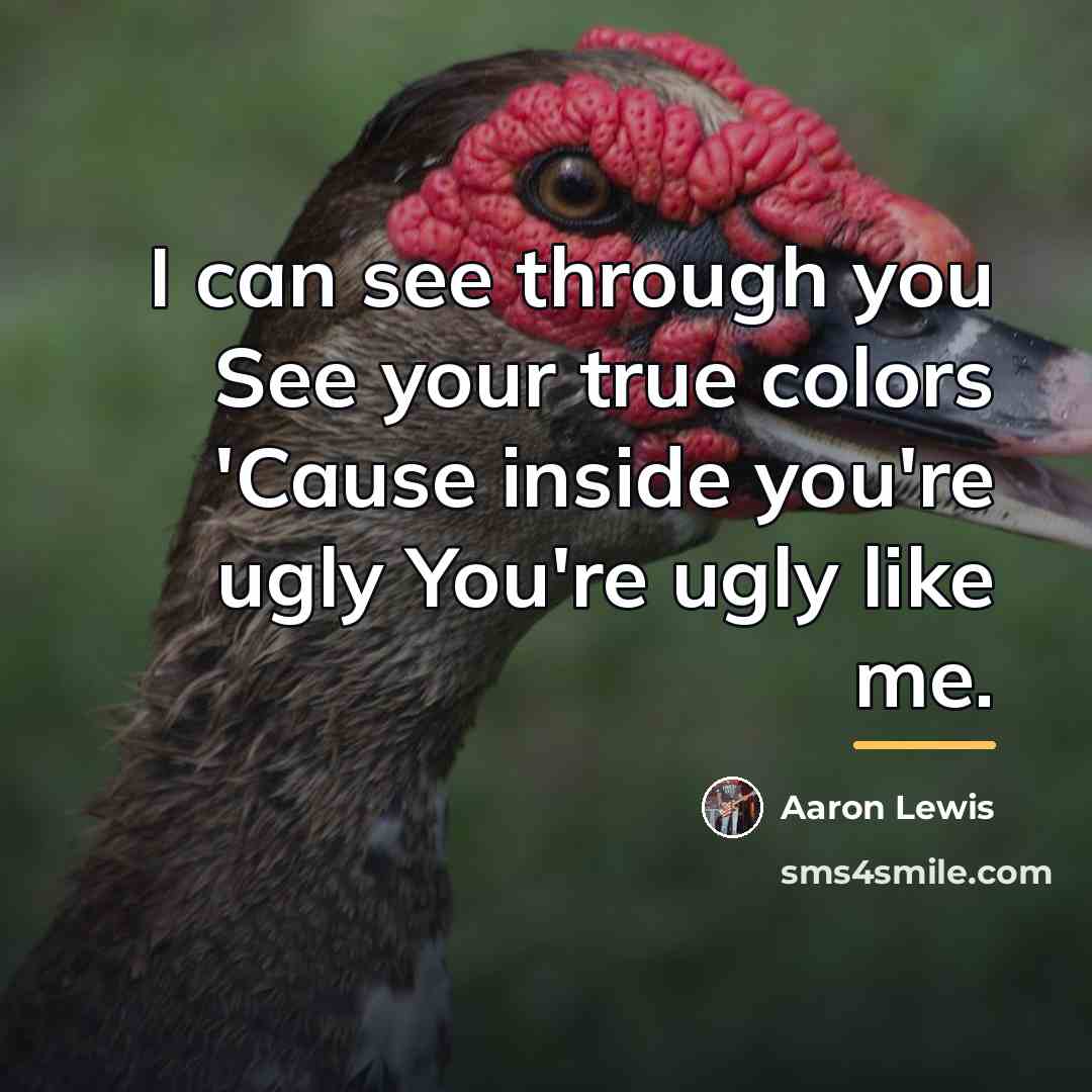 “I can see through you See your true colors 'Cause…” quote by Aaron Lewis