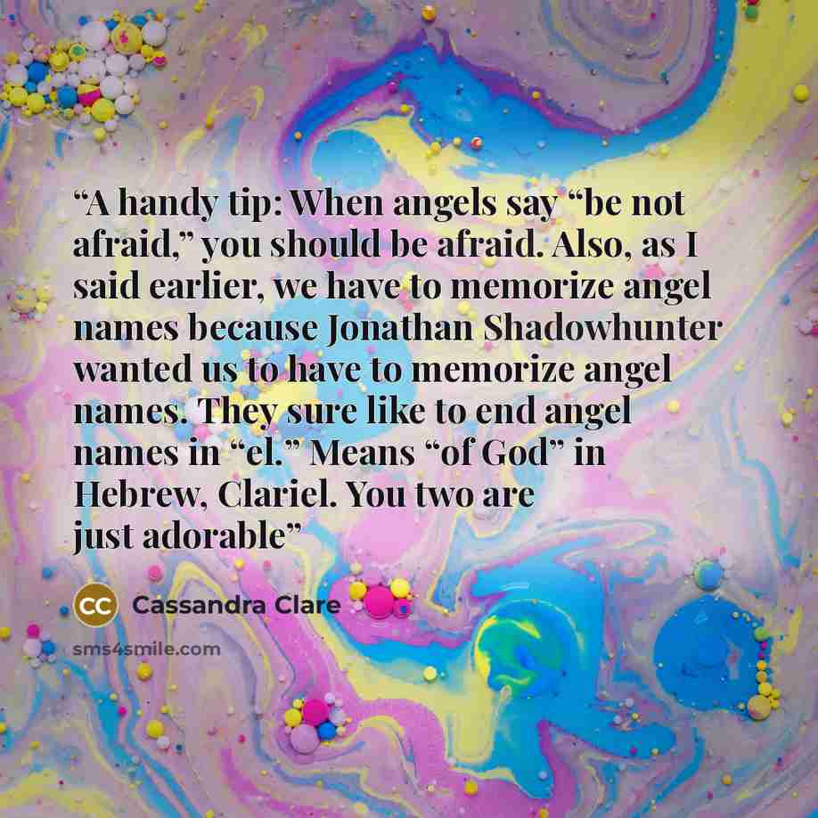 “A handy tip: When angels say “be not afraid,” you should be afraid. Also, as I said earlier, we have to memorize angel names because Jonathan Shadowhunter wanted us to have to memorize angel names. They sure like to end angel names in “el.” Means “of God” in Hebrew, Clariel. You two are just…” quote by Cassandra Clare