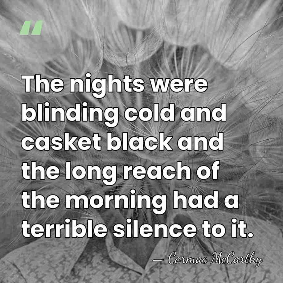 The nights were blinding cold and casket black and the long reach&hellip; - Cormac McCarthy