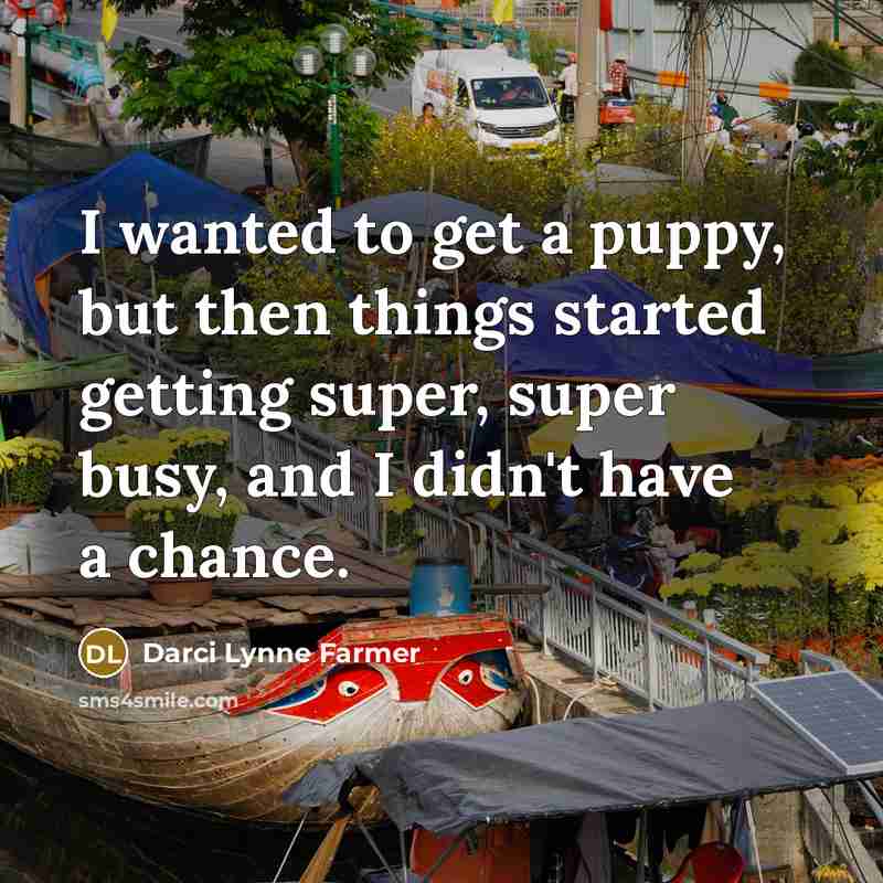 “I wanted to get a puppy, but then things started…” quote by Darci Lynne Farmer