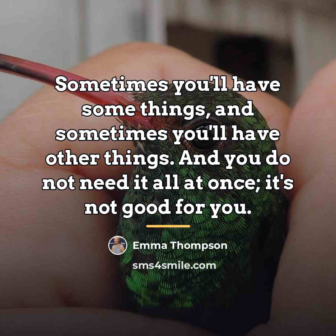 “Sometimes you'll have some things, and sometimes you'll have other…” quote by Emma Thompson