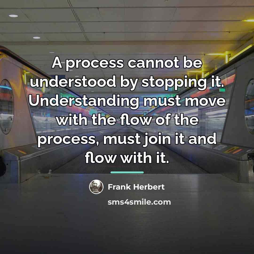 “A process cannot be understood by stopping it. Understanding must…” quote by Frank Herbert