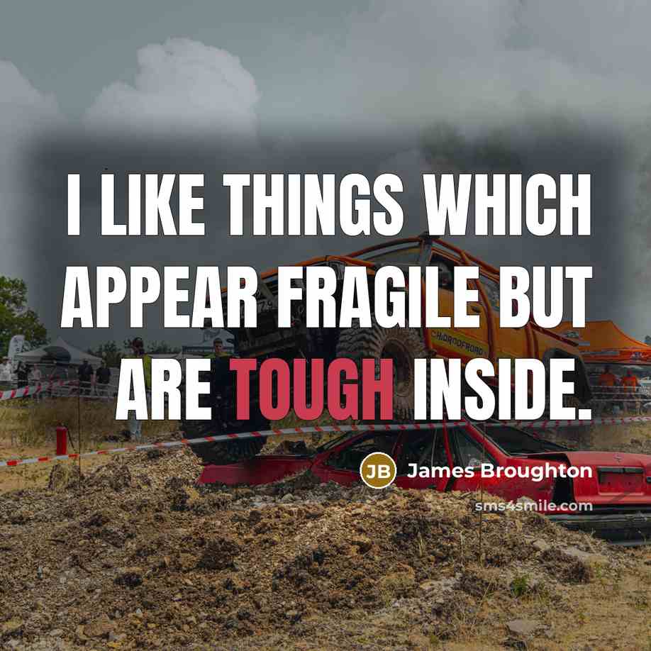 “I like things which appear fragile but are tough inside.…” quote by James Broughton
