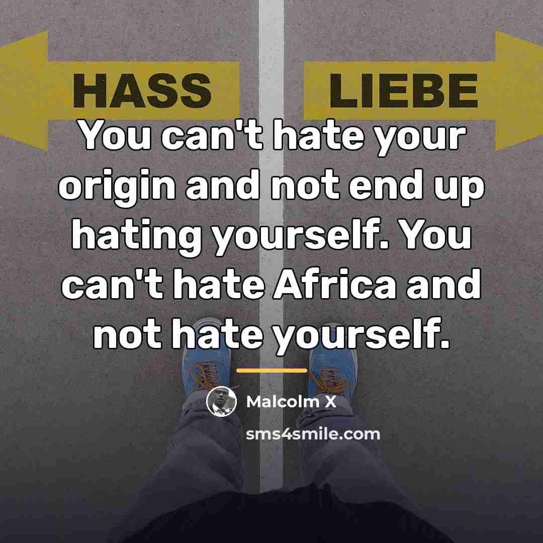 “You can't hate your origin and not end up hating…” quote by Malcolm X