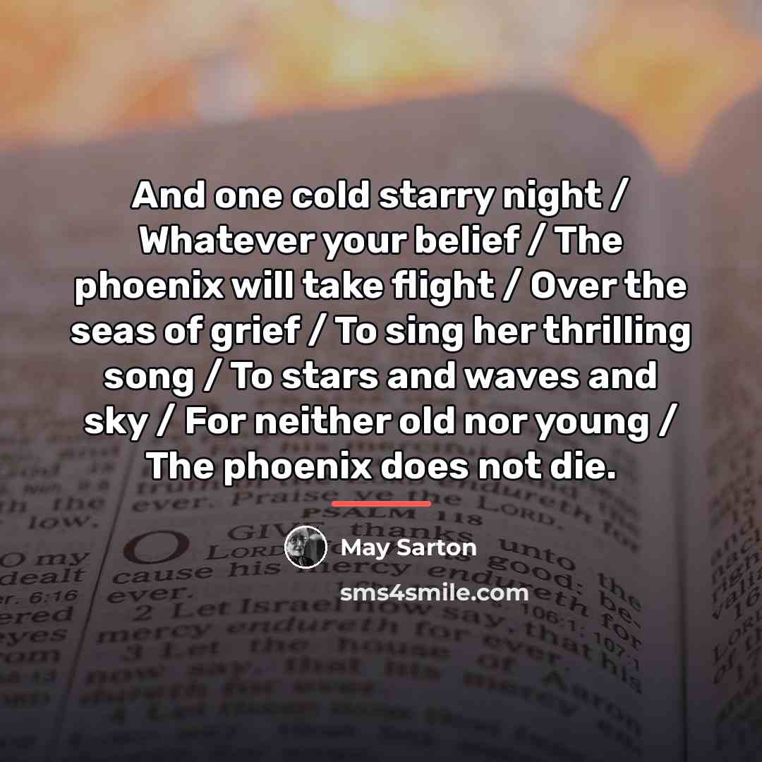 “And one cold starry night / Whatever your belief /…” quote by May Sarton