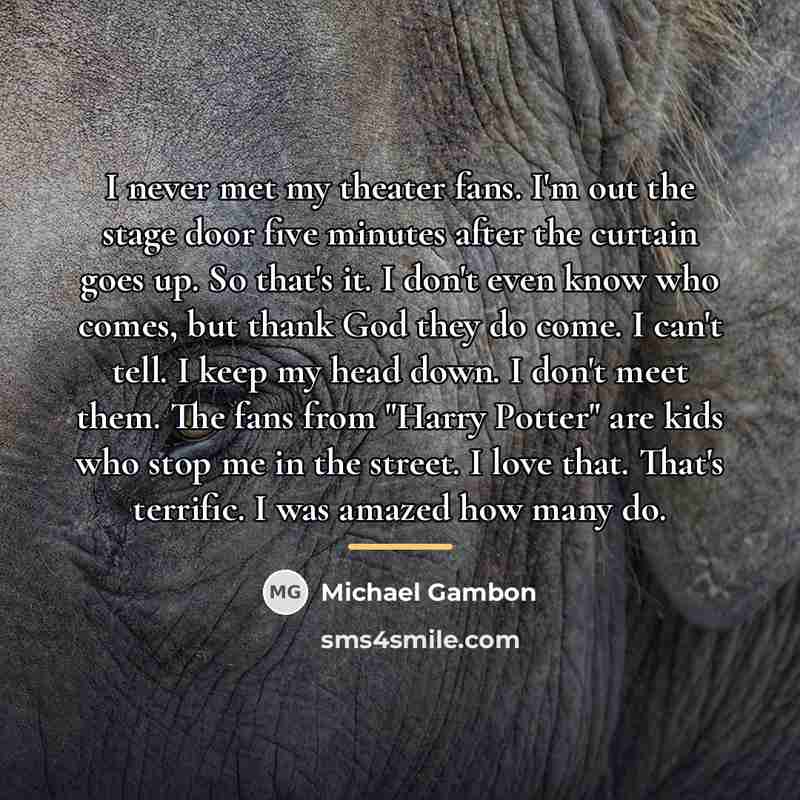 “I never met my theater fans. I'm out the stage…” quote by Michael Gambon