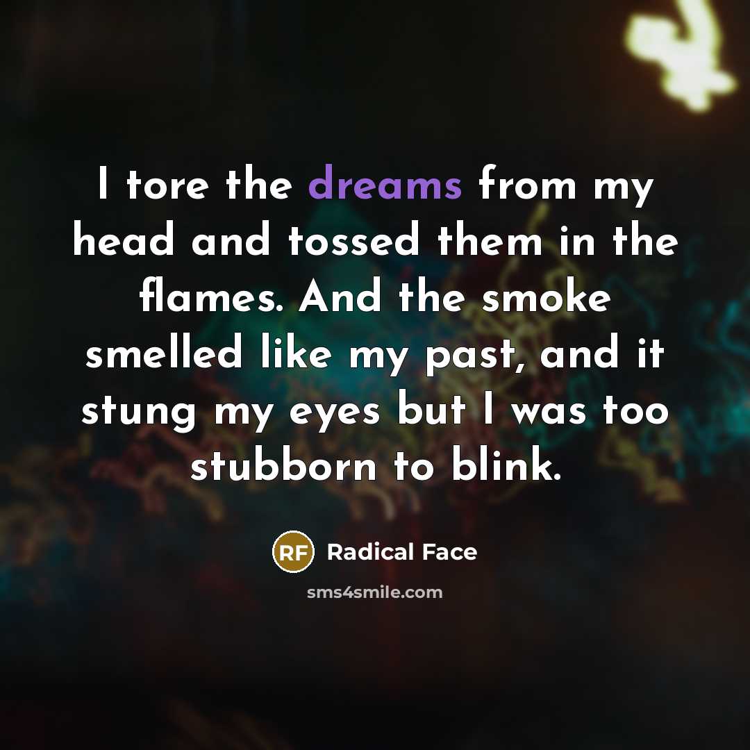 “I tore the dreams from my head and tossed them…” quote by Radical Face