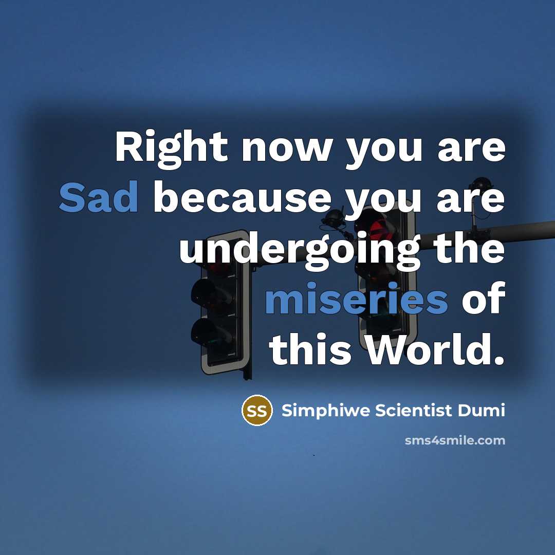 “Right now you are Sad because you are undergoing the miseries of this World.” quote by Simphiwe Scientist Dumi