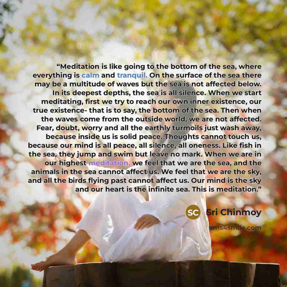 “Meditation is like going to the bottom of the sea, where everything is calm and tranquil. On the surface of the sea there may be a multitude of waves but the sea is not affected below. In its deepest depths, the sea is all silence. When we start meditating, first we try to reach our own inner…” quote by Sri Chinmoy