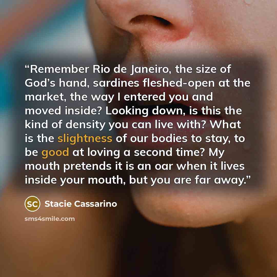 “Remember Rio de Janeiro, the size of God’s hand, sardines fleshed-open at the market, the way I entered you and moved inside? Looking down, is this the kind of density you can live with? What is the slightness of our bodies to stay, to be good at loving a second time? My mouth pretends it is an…” quote by Stacie Cassarino