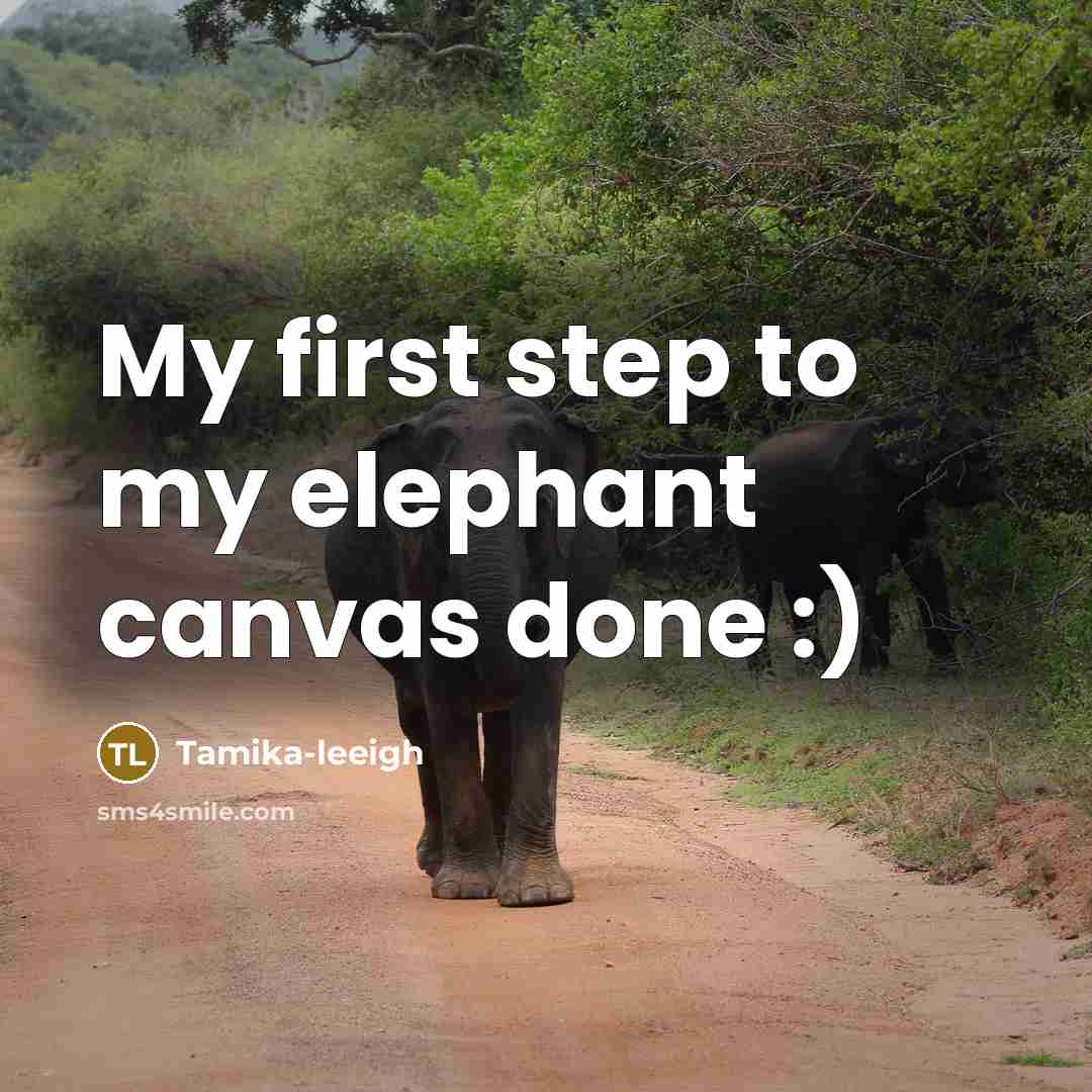 “My first step to my elephant canvas done :)…” quote by Tamika-leeigh