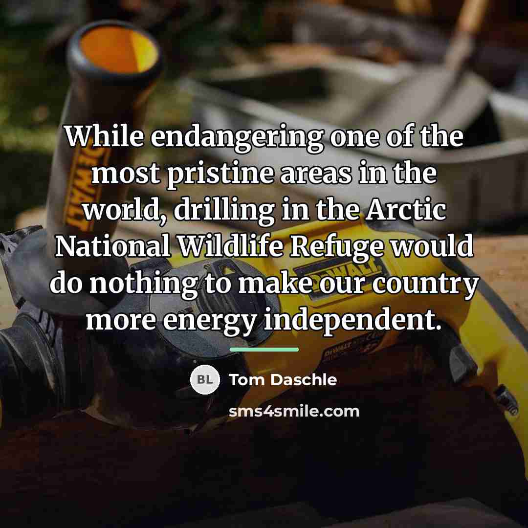 “While endangering one of the most pristine areas in the…” quote by Tom Daschle