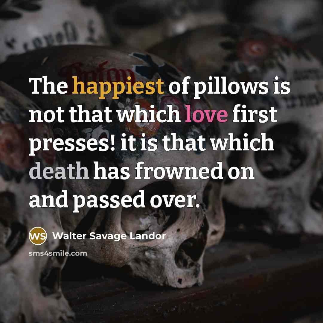 “The happiest of pillows is not that which love first…” quote by Walter Savage Landor