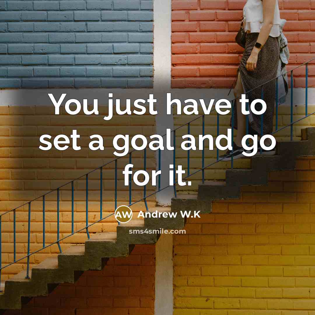 “You just have to set a goal and go for…” quote by Andrew W.K
