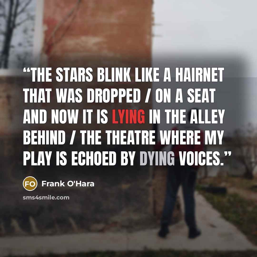“The stars blink like a hairnet that was dropped / on a seat and now it is lying in the alley behind / the theatre where my play is echoed by dying voices.” quote by Frank O'Hara