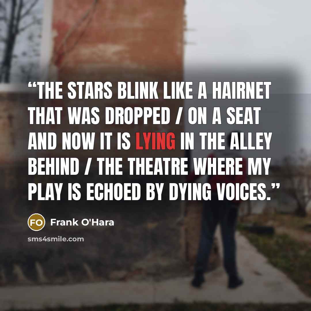 “The stars blink like a hairnet that was dropped / on a seat and now it is lying in the alley behind / the theatre where my play is echoed by dying voices.” quote by Frank O'Hara