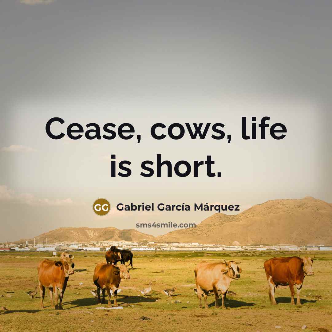 “Cease, cows, life is short.” quote by Gabriel Garcia Marquez