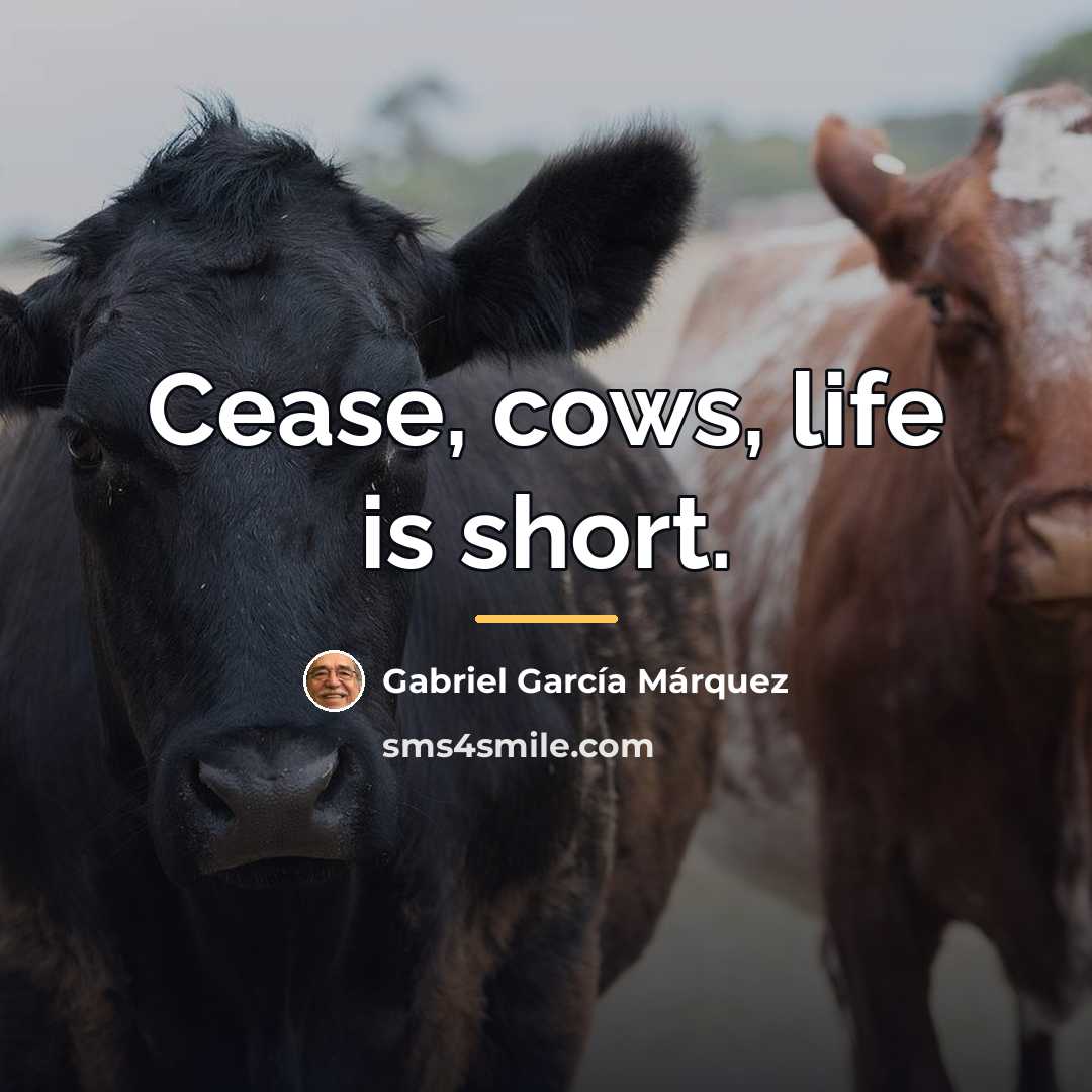 “Cease, cows, life is short.…” quote by Gabriel Garcia Marquez