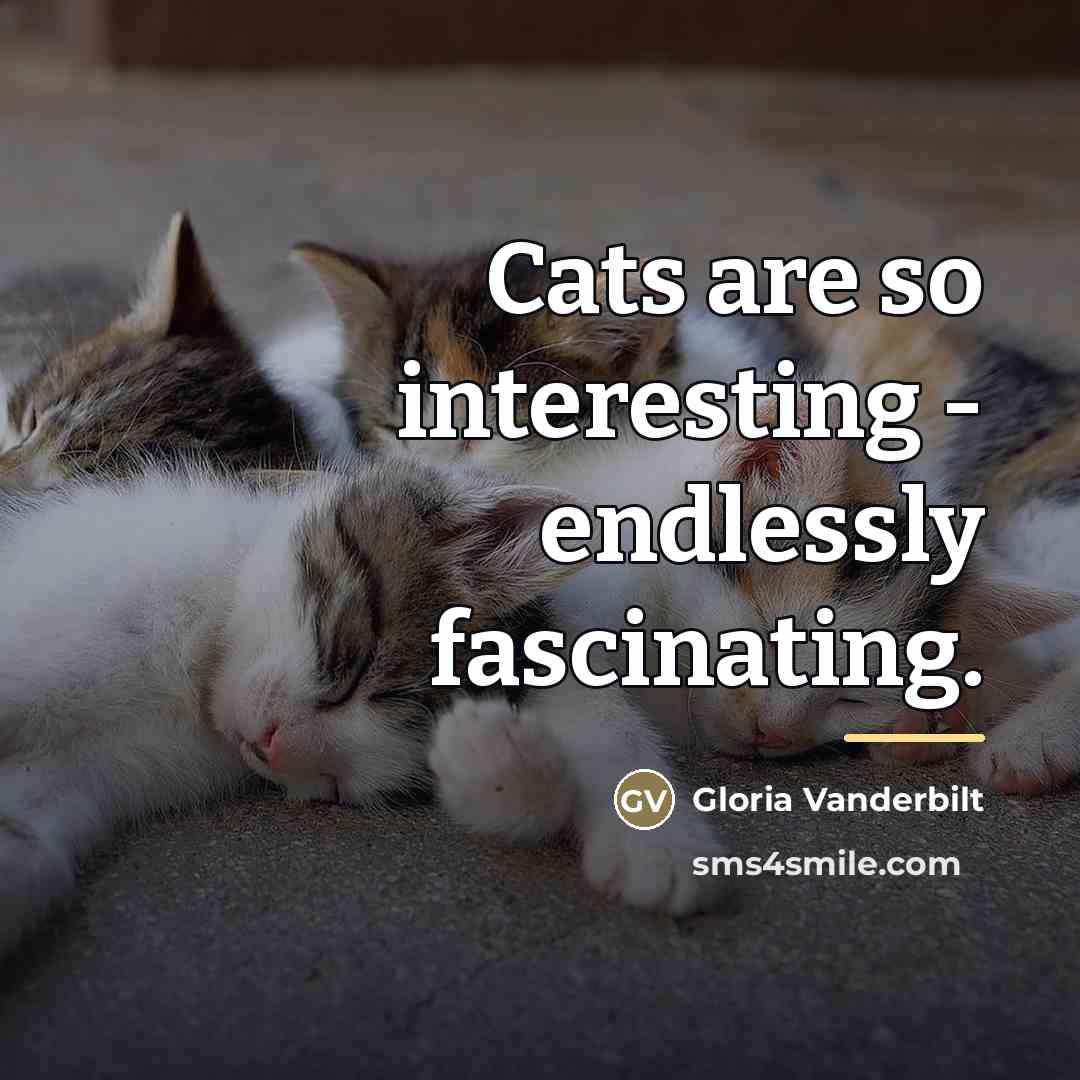 “Cats are so interesting - endlessly fascinating.…” quote by Gloria Vanderbilt