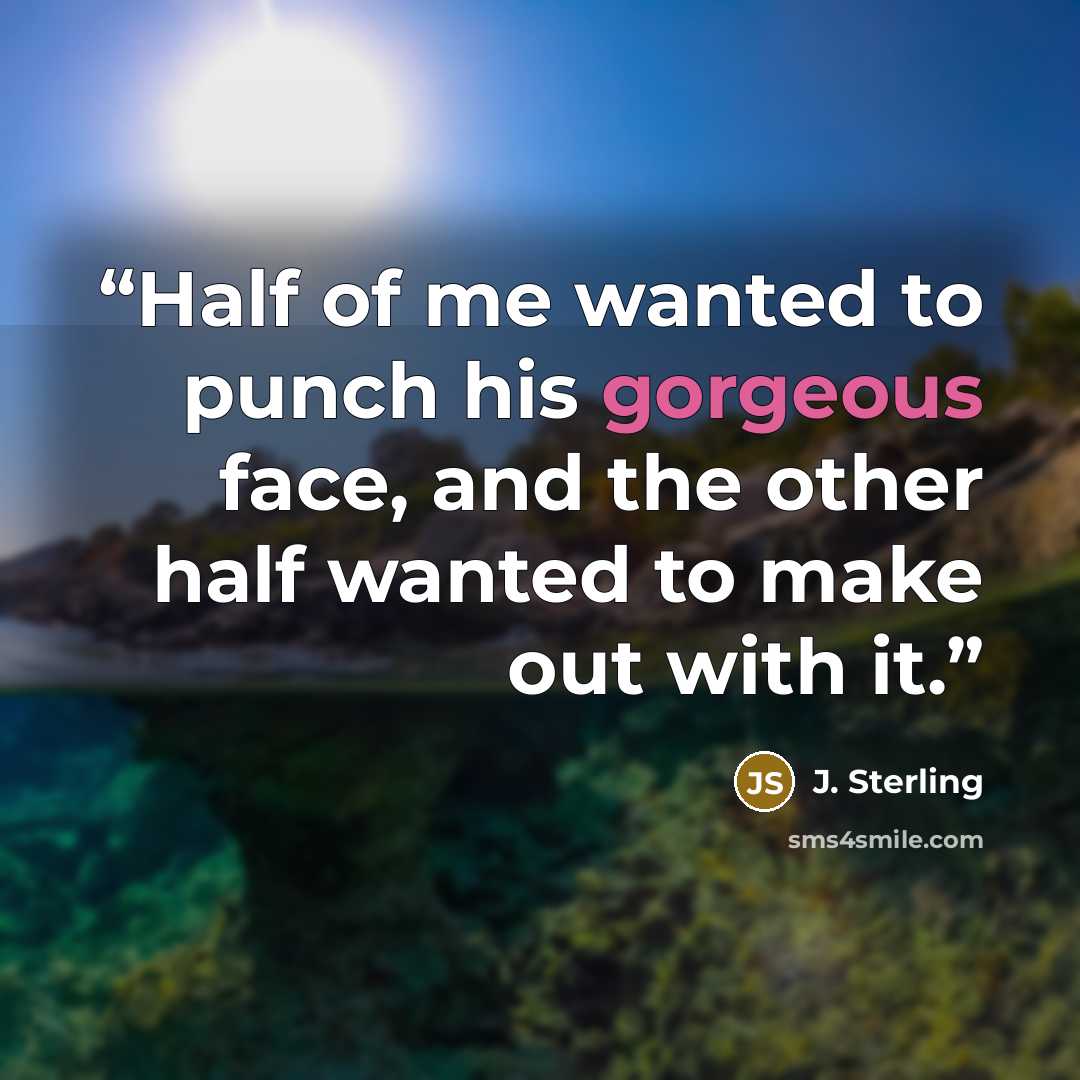 “Half of me wanted to punch his gorgeous face, and the other half wanted to make out with it.” quote by J. Sterling