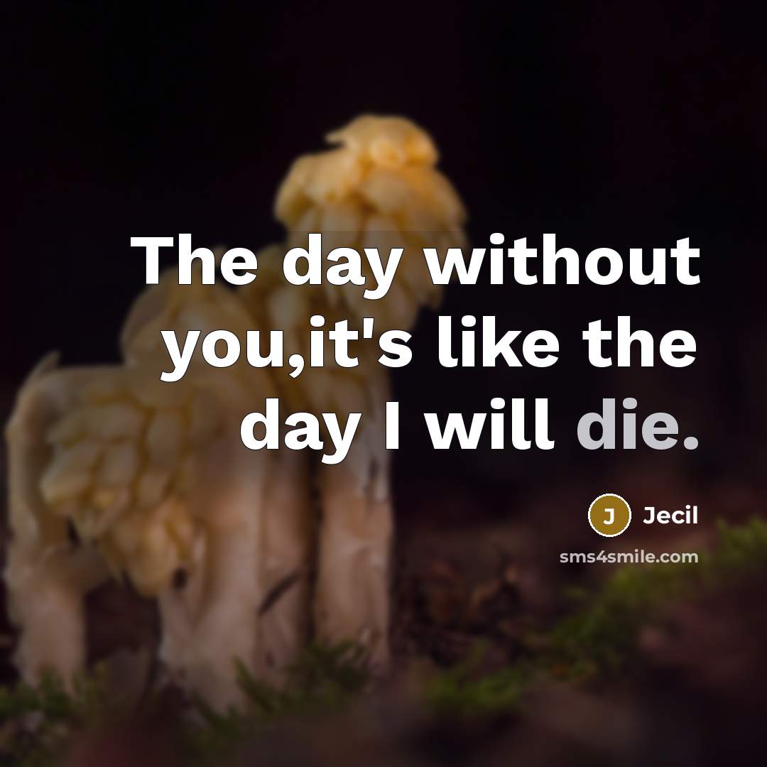“The day without you,it's like the day I will die.” quote by Jecil