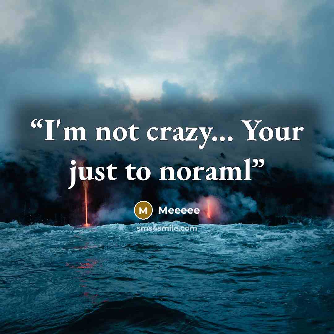 “I'm not crazy... Your just to noraml” quote by MEEEEE