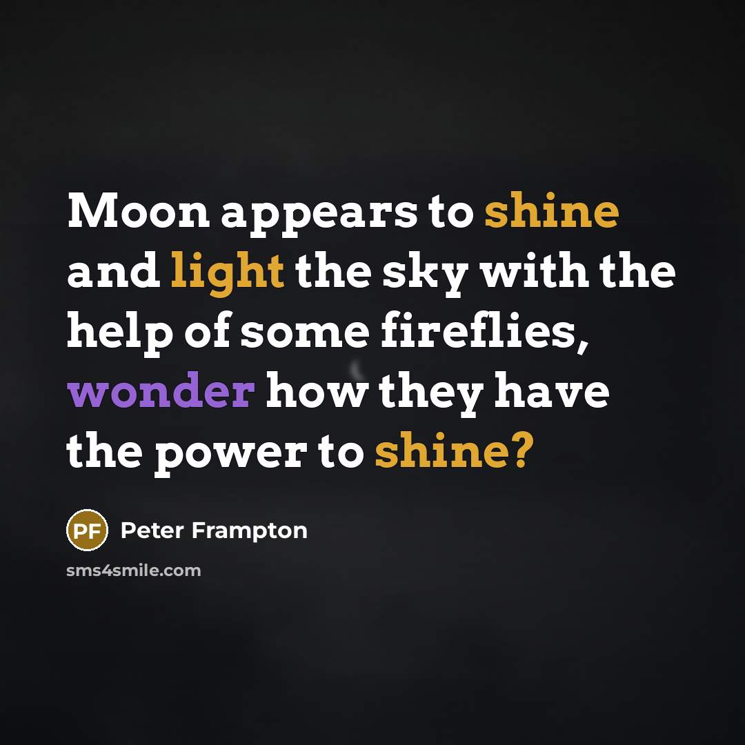 “Moon appears to shine and light the sky with the help of some fireflies, wonder how they have the power to shine?” quote by Peter Frampton