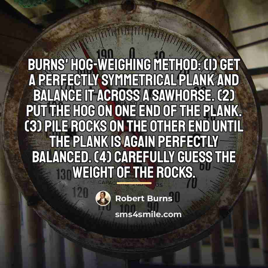 “Burns' Hog-Weighing Method: (1) Get a perfectly symmetrical plank and…” quote by Robert Burns
