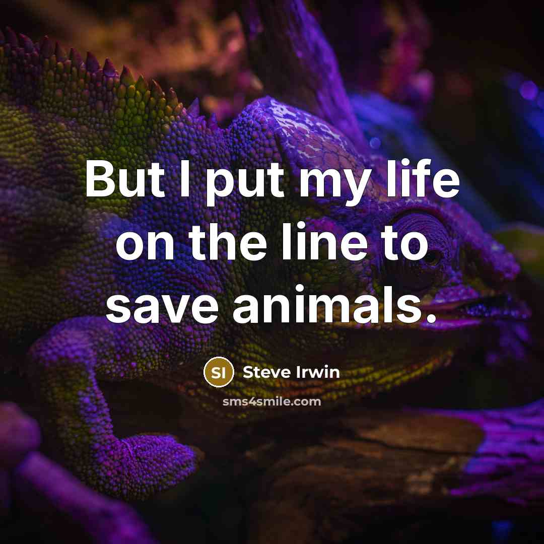 “But I put my life on the line to save…” quote by Steve Irwin