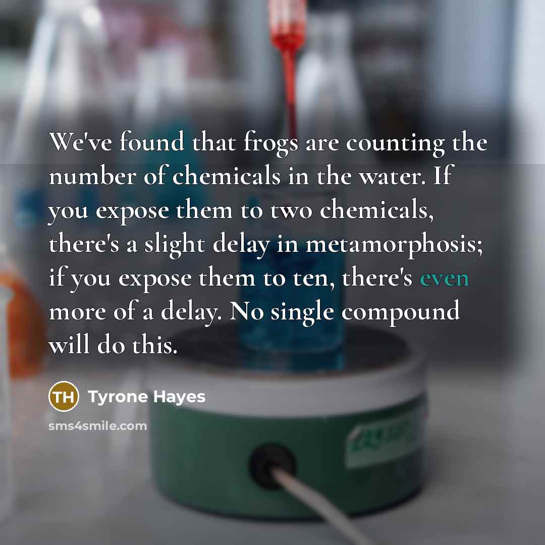 “We've found that frogs are counting the number of chemicals…” quote by Tyrone Hayes
