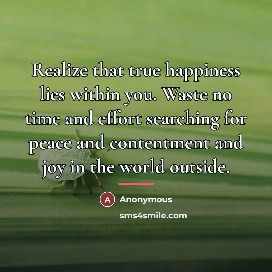 “Realize that true happiness lies within you. Waste no time…” quote by Anonymous