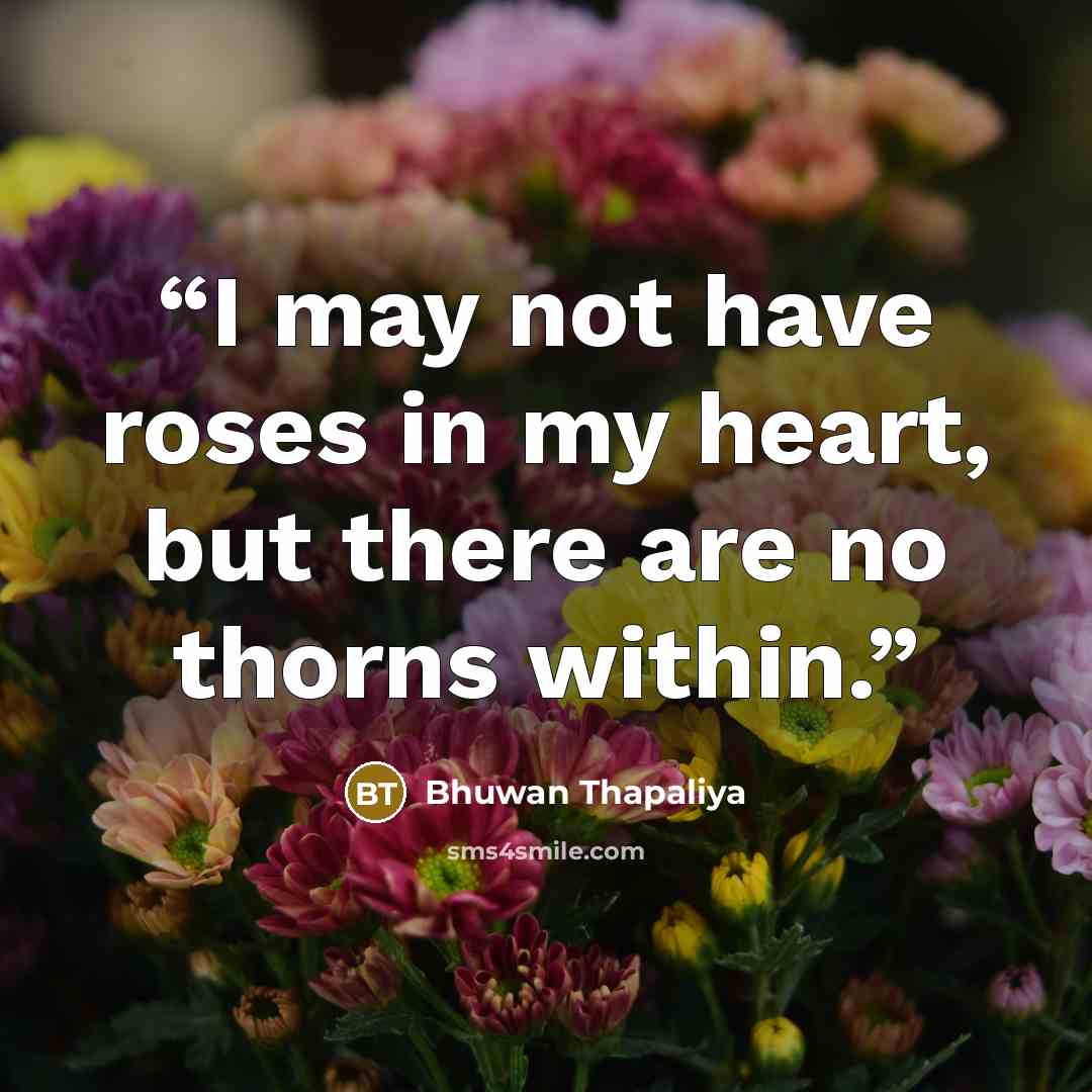 “I may not have roses in my heart, but there are no thorns within.” quote by Bhuwan Thapaliya