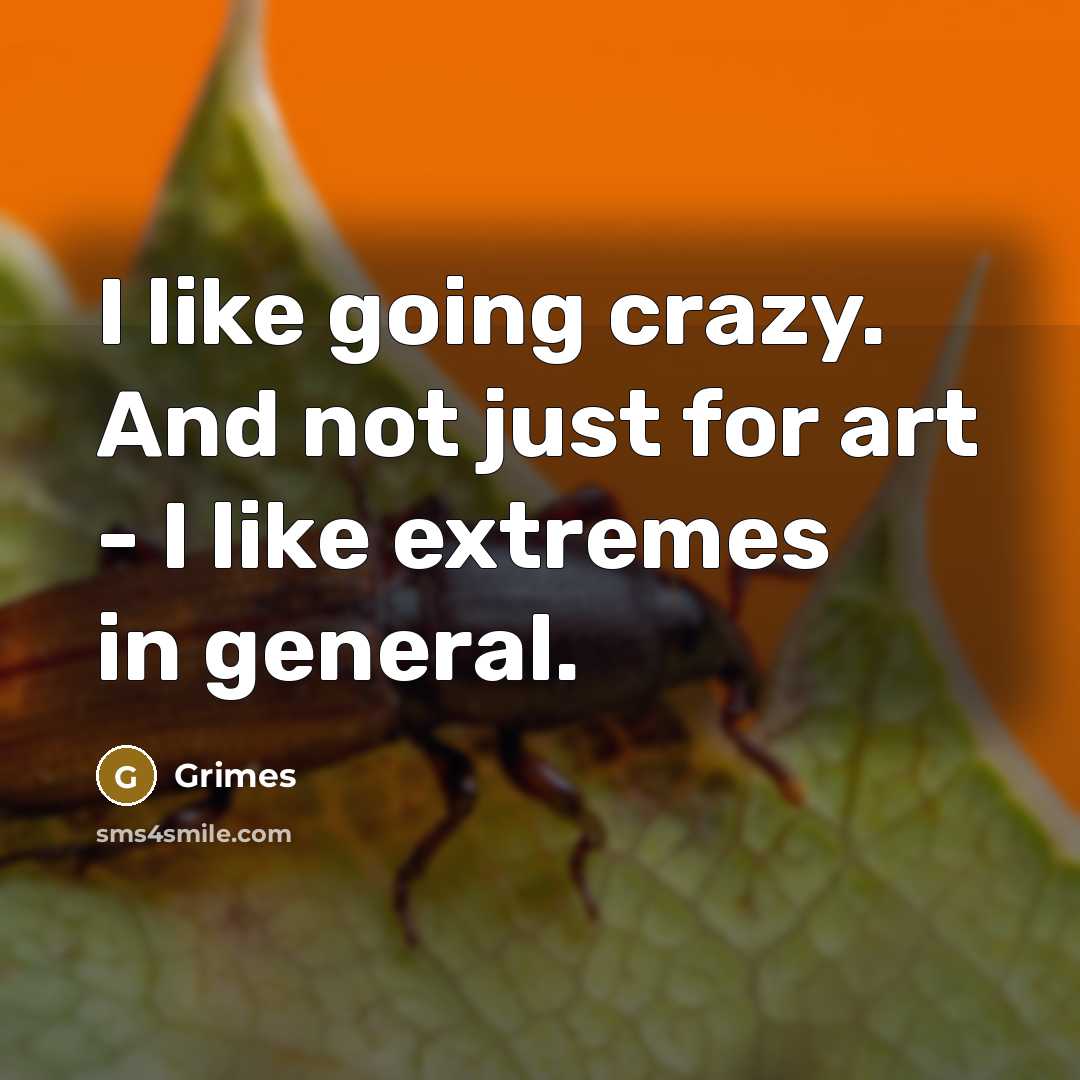 “I like going crazy. And not just for art -…” quote by Grimes