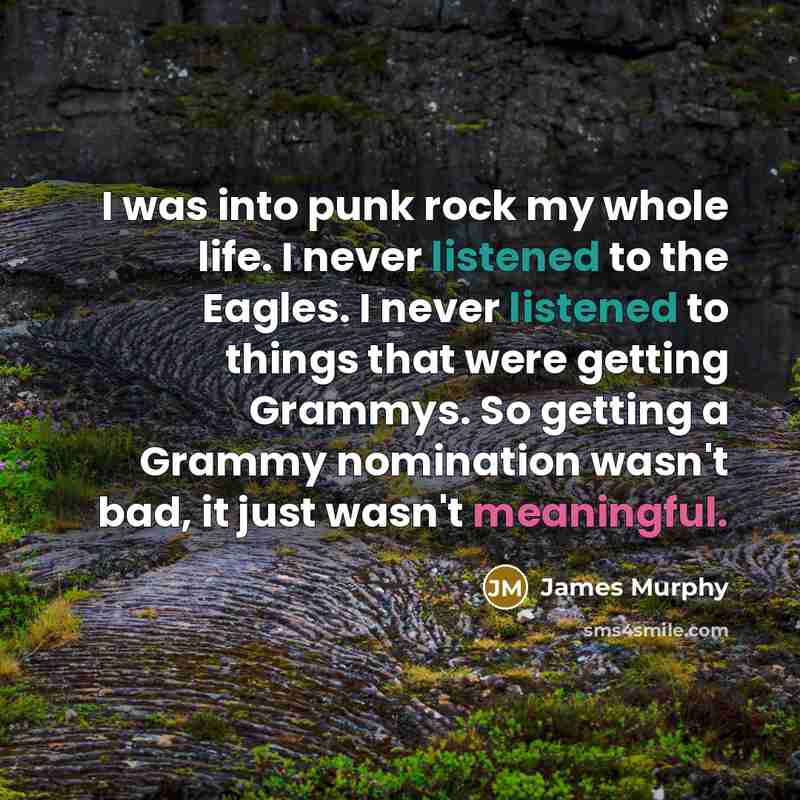 “I was into punk rock my whole life. I never…” quote by James Murphy