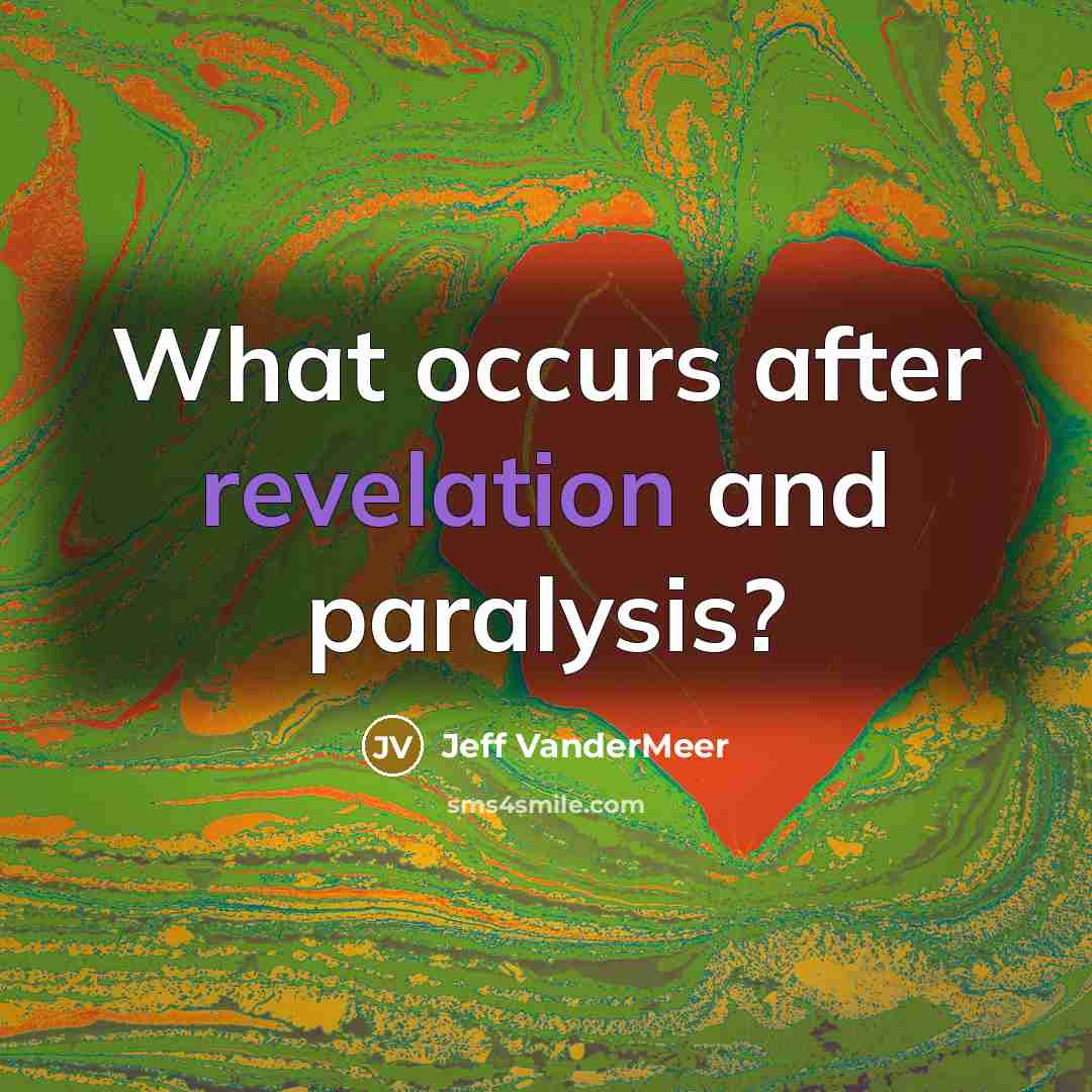 “What occurs after revelation and paralysis?…” quote by Jeff VanderMeer