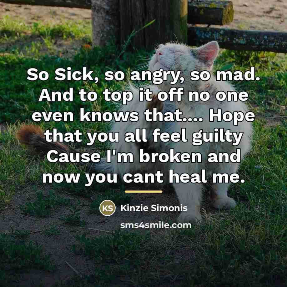 “So Sick, so angry, so mad. And to top it…” quote by Kinzie Simonis
