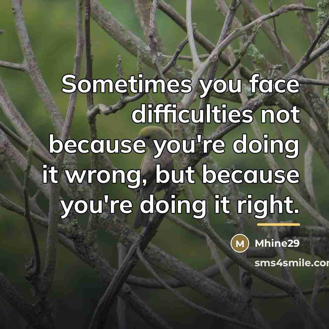 “Sometimes you face difficulties not because you're doing it wrong,…” quote by Mhine29