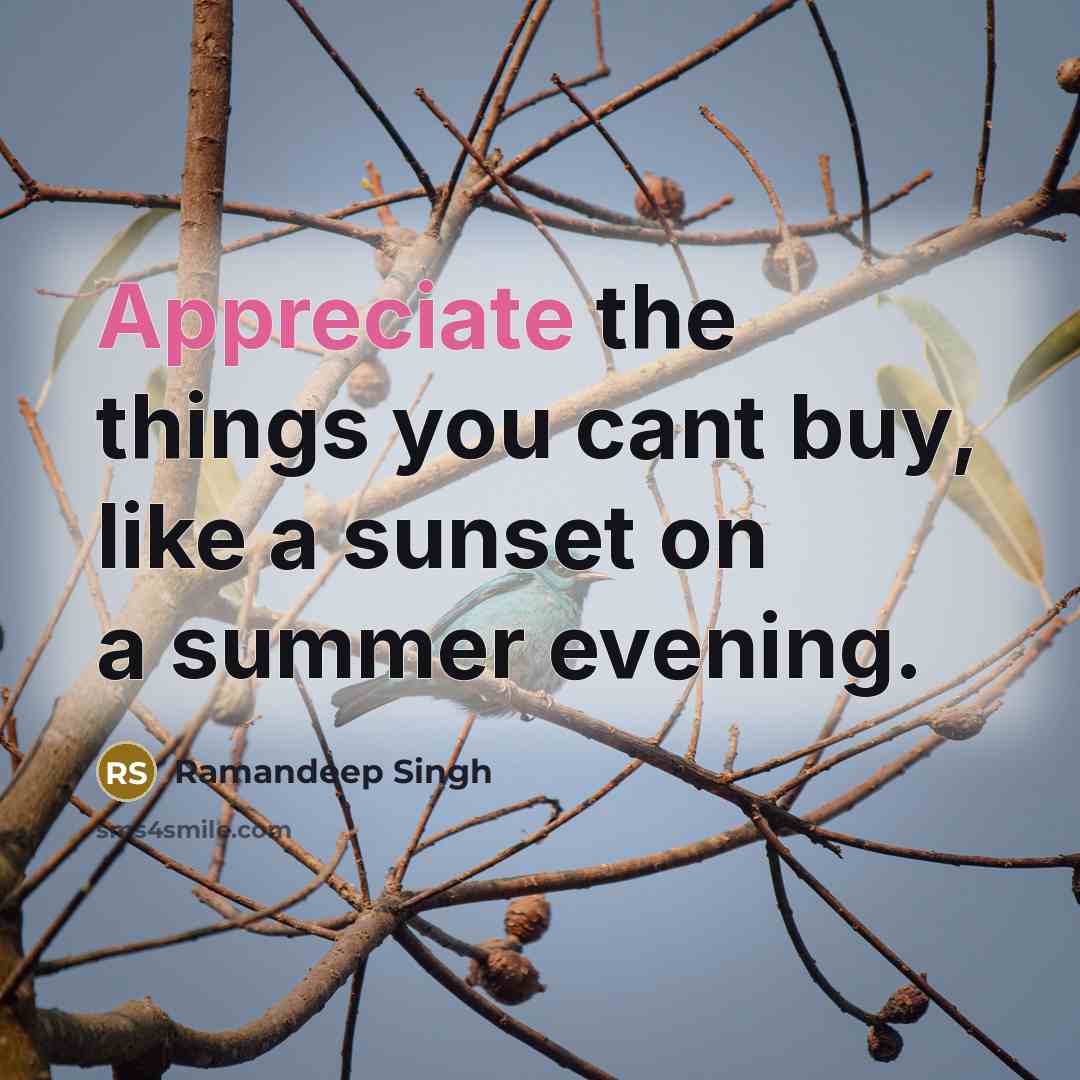 “Appreciate the things you cant buy, like a sunset on…” quote by Ramandeep Singh