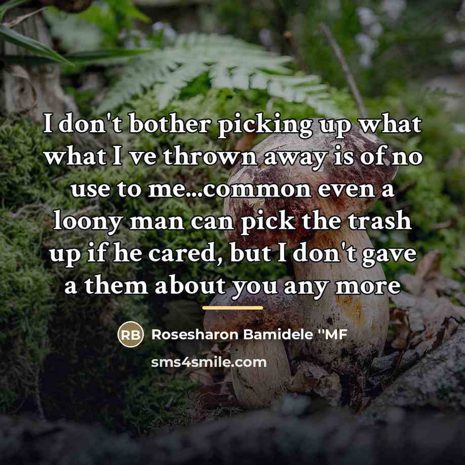 “I don't bother picking up what what I ve thrown…” quote by Rosesharon Bamidele