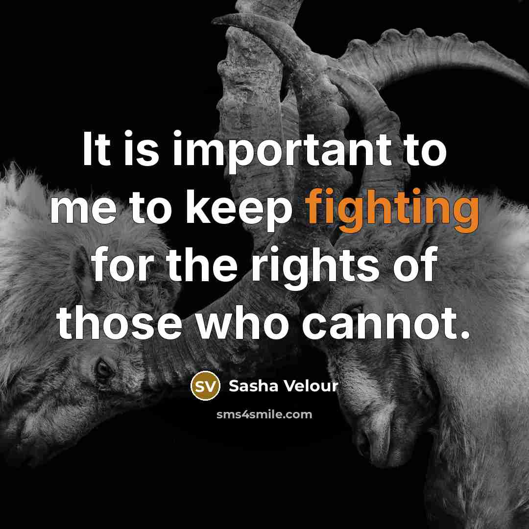 “It is important to me to keep fighting for the…” quote by Sasha Velour