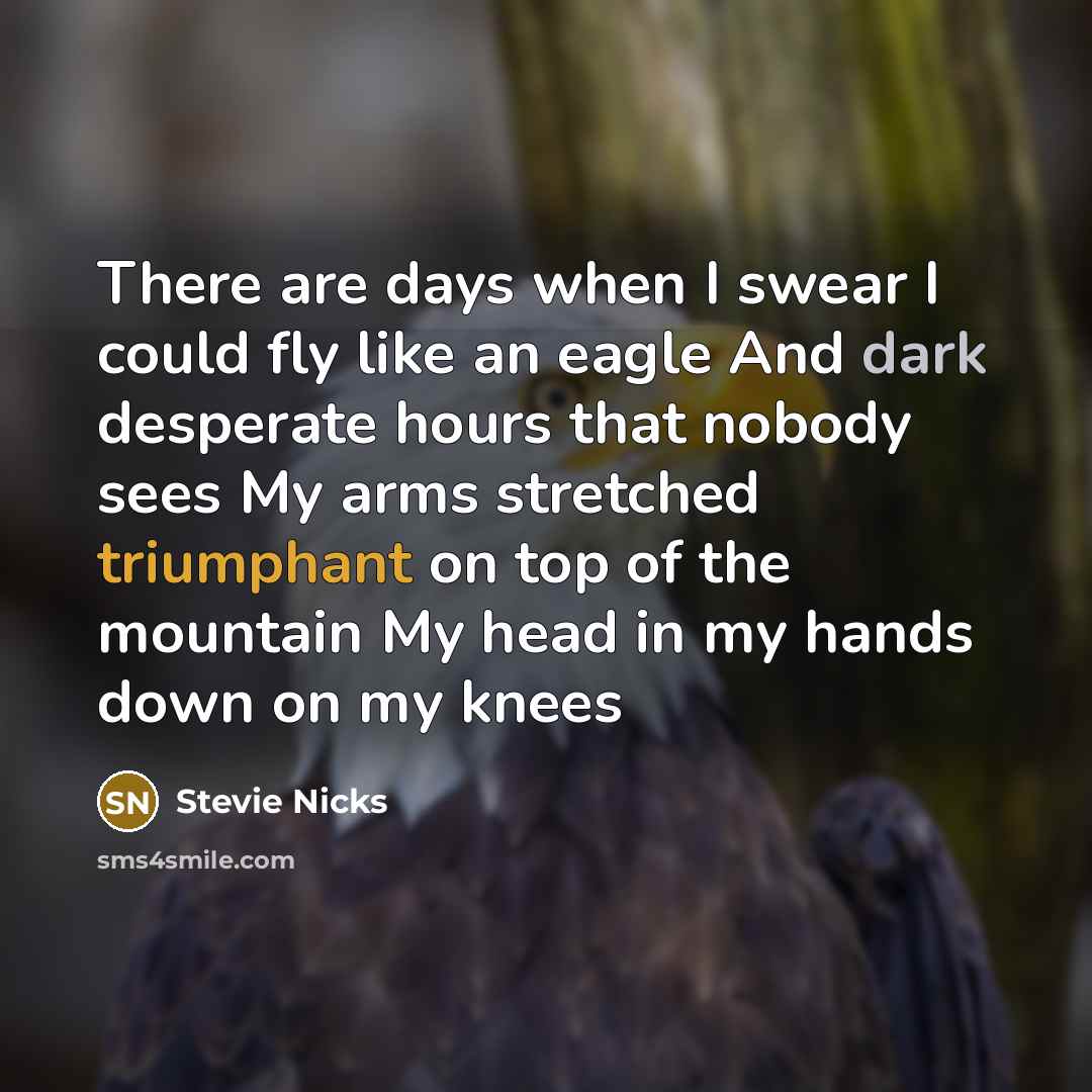 “There are days when I swear I could fly like…” quote by Stevie Nicks