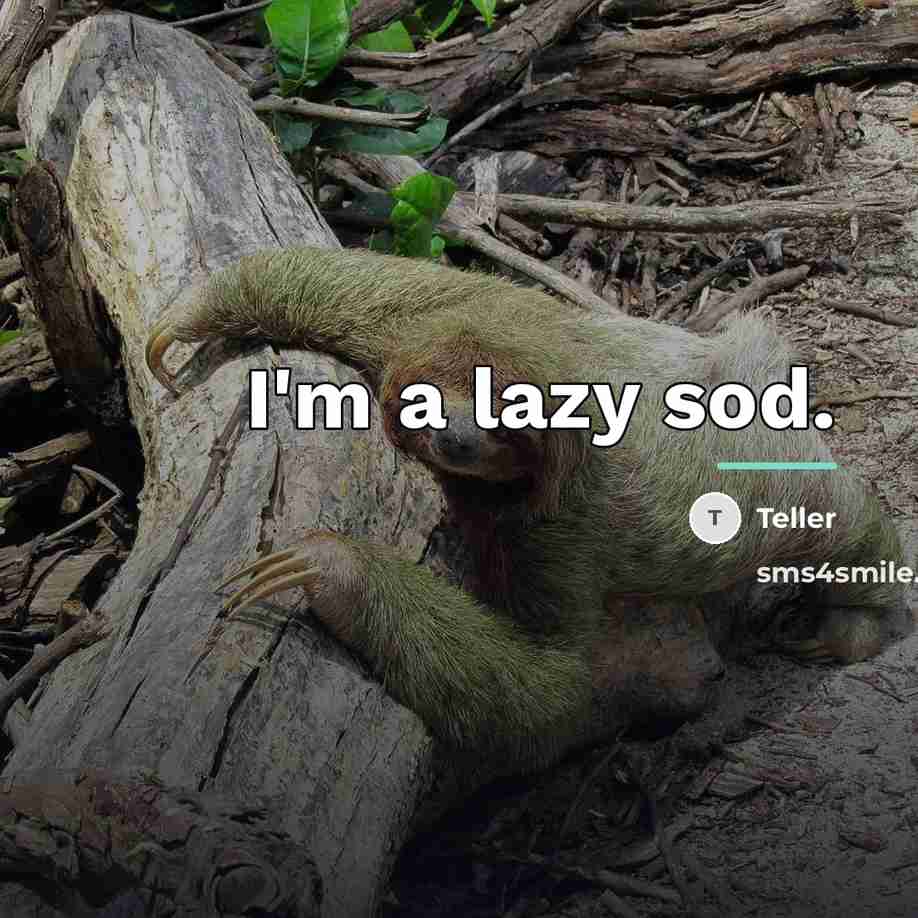 “I'm a lazy sod.…” quote by Teller