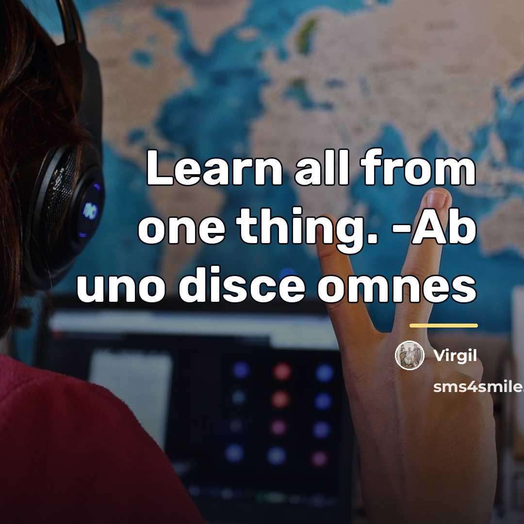 “Learn all from one thing. -Ab uno disce omnes…” quote by Virgil