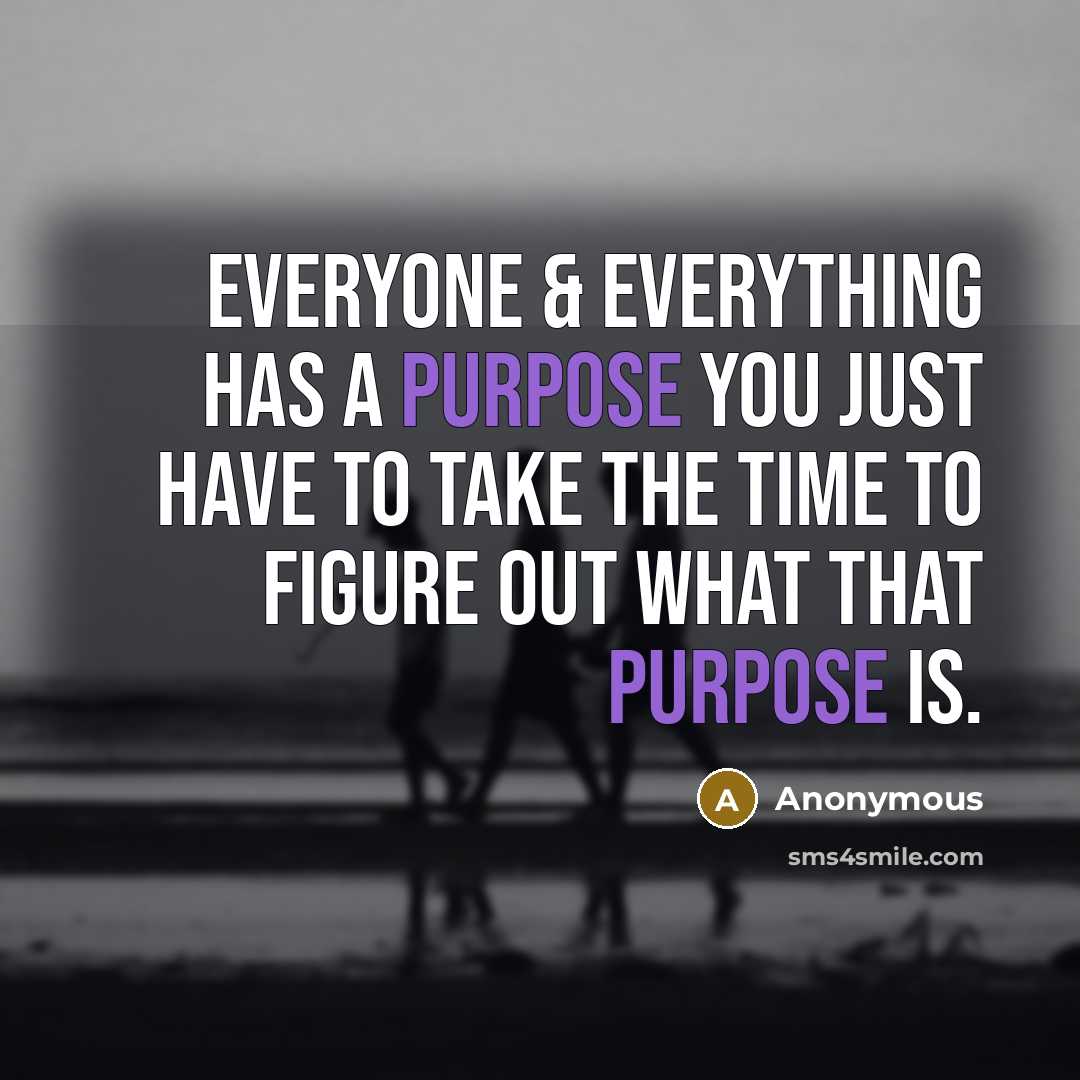 “Everyone & everything has a purpose you just have to take the time to figure out what that purpose is.” quote by Anonymous