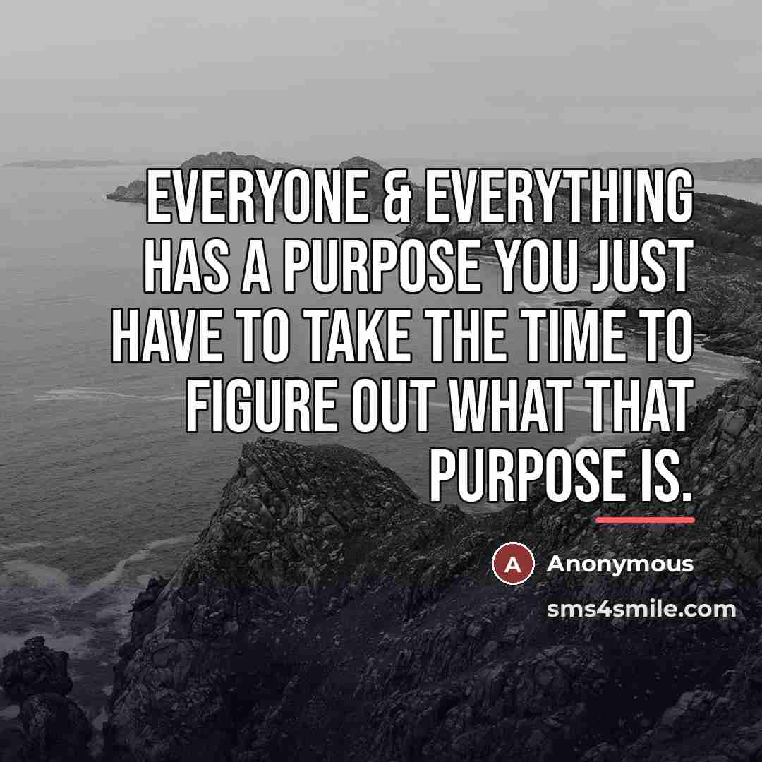 “Everyone & everything has a purpose you just have to…” quote by Anonymous