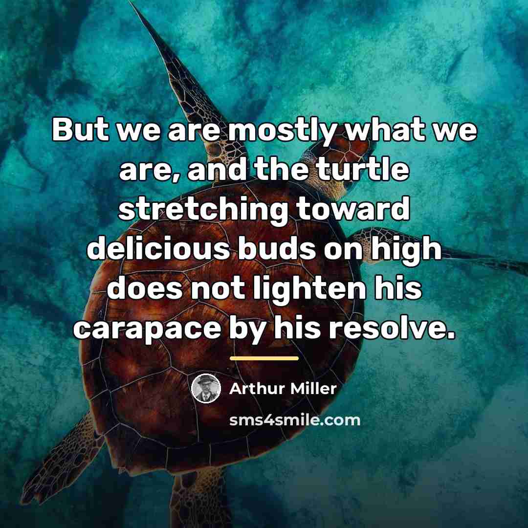 “But we are mostly what we are, and the turtle…” quote by Arthur Miller