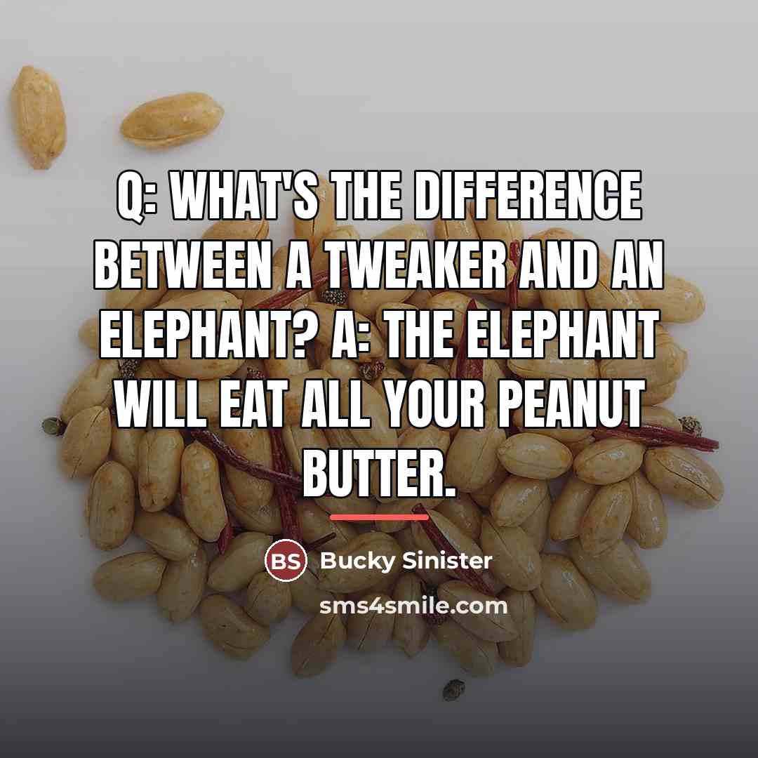 “Q: What's the difference between a tweaker and an elephant?…” quote by Bucky Sinister