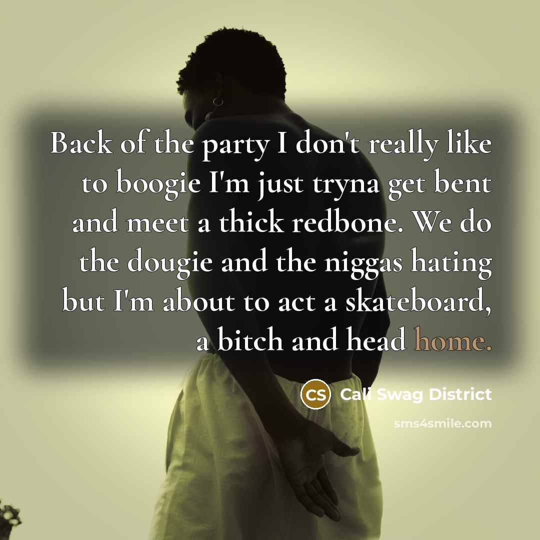 “Back of the party I don't really like to boogie…” quote by Cali Swag District