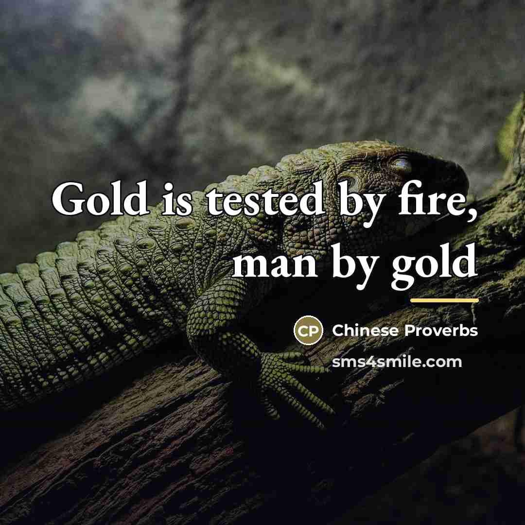“Gold is tested by fire, man by gold…” quote by Chinese Proverbs